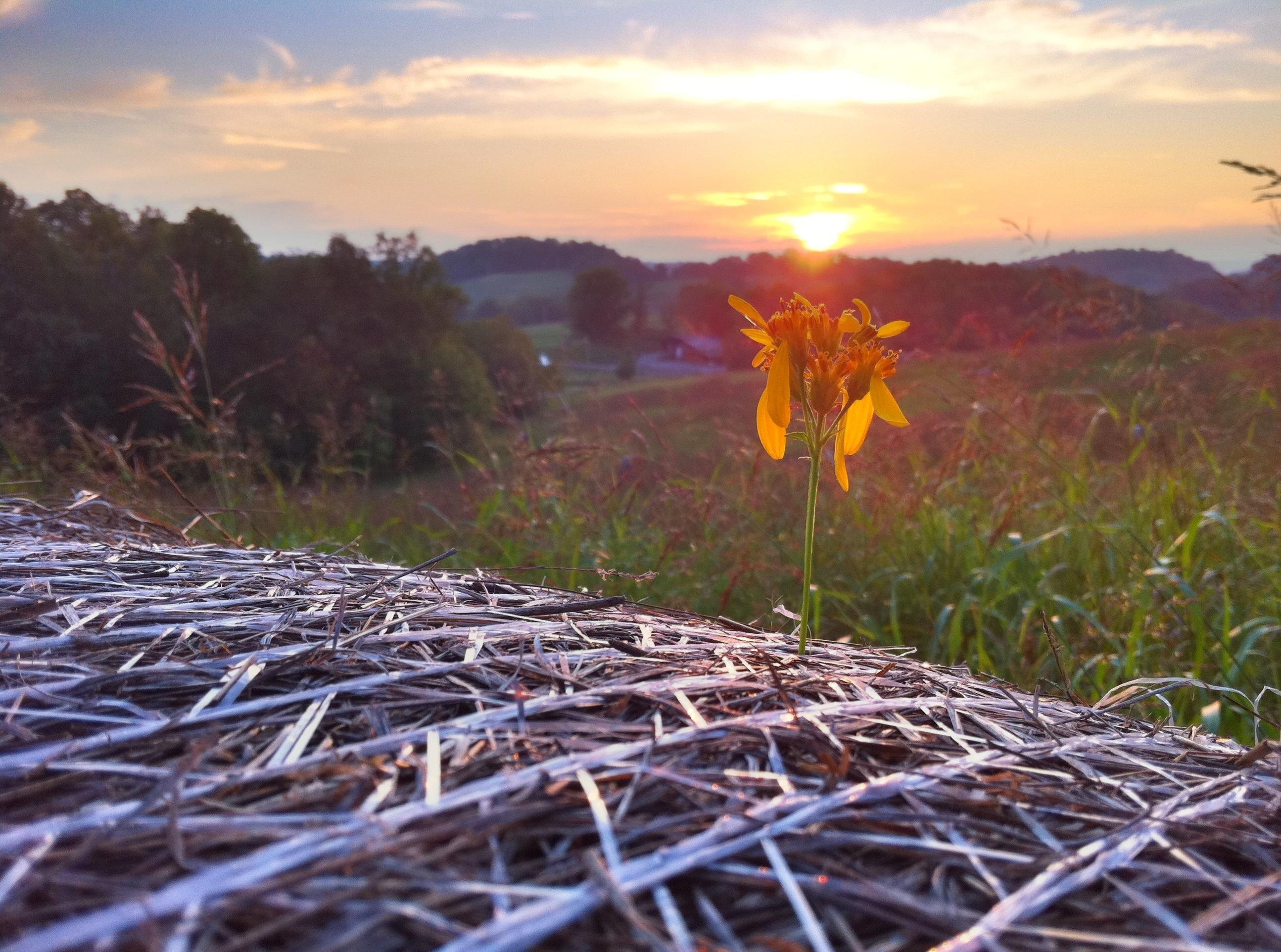 Fairway Realty Homes for Sale TriCity TN & VN Real Estate