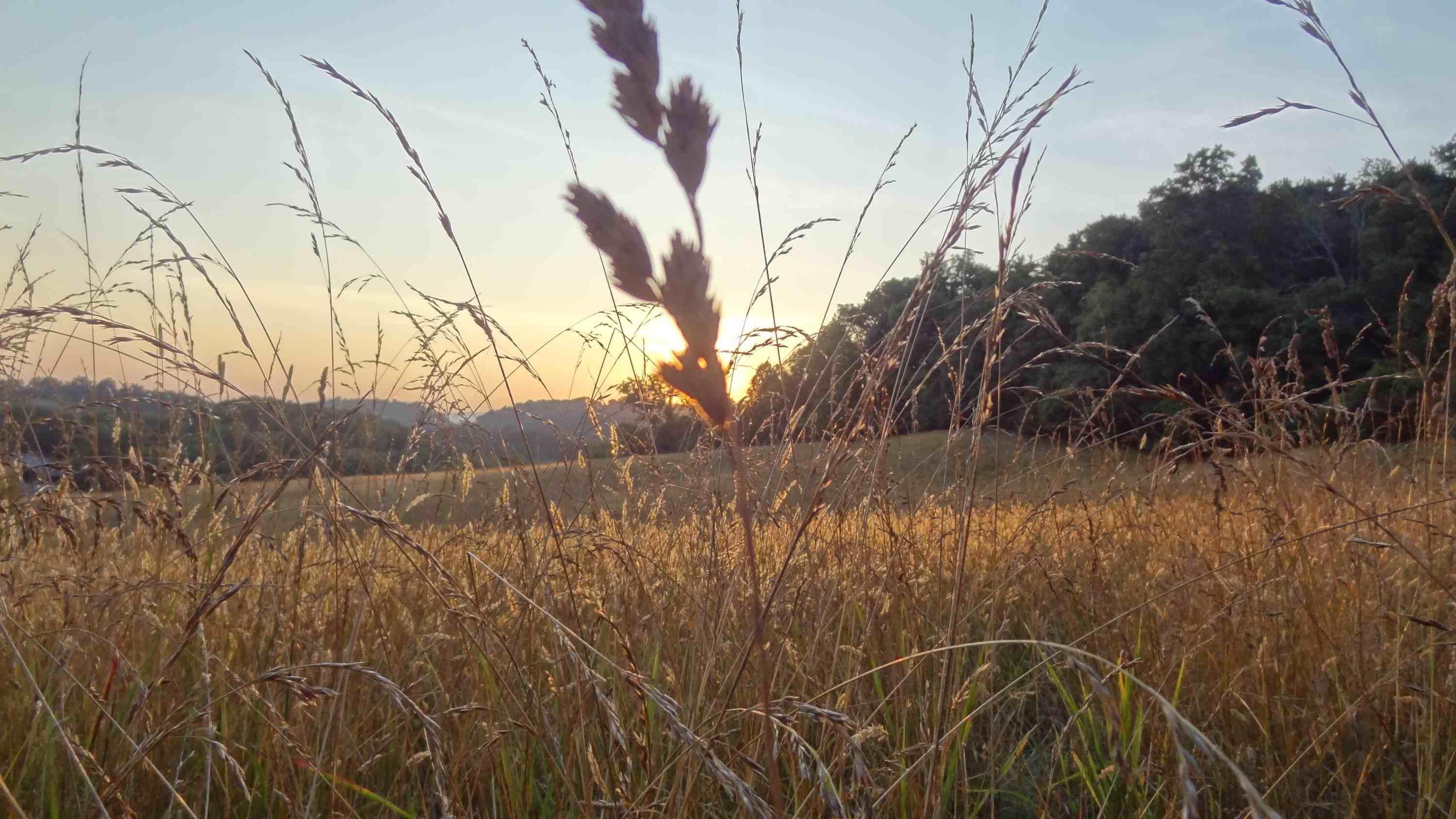 Fairway Realty Homes for Sale TriCity TN & VN Real Estate